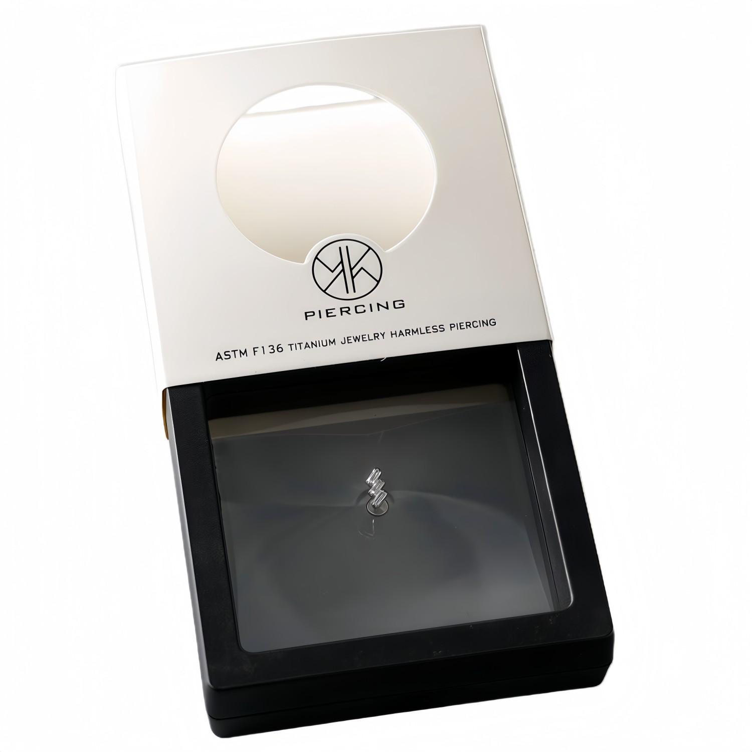 ATSM F136 Титановый циркон для – обзор и цена Body Jewelry Jewelry Box